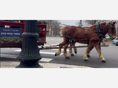 Horse-drawn Carriage Rides in Lebanon, Ohio