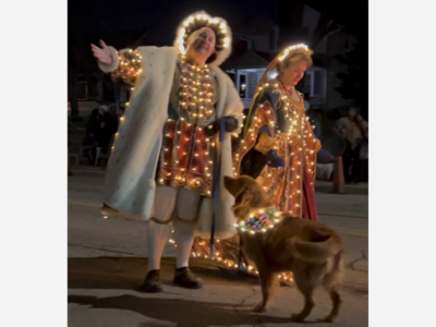 35th Annual Horse-drawn Carriage Daytime and Nightime Parades