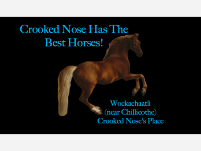 Part 5 - Crooked Nose Has the Best Horses! - Reverend David Jones 2 Visits