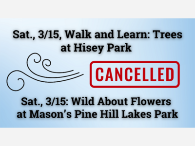 CANCELED: Walk & Learn: Trees at Hisey Park and Wild About Flowers at Mason's Pine Hills Lakes Park 