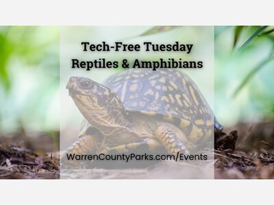 Last Tech-Free Tuesday of 2025!