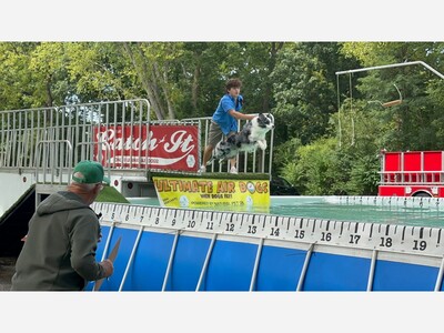 Has Armco Park Gone To The Dogs?!