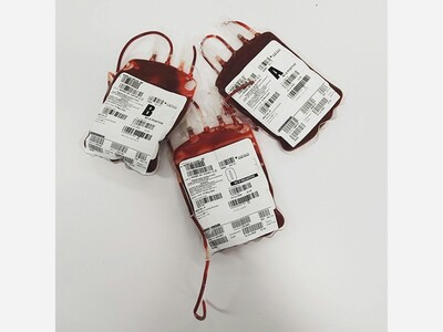 “Honor Your Loved Ones” Blood Drive Remembrance – Woodside Cemetery and Arboretum