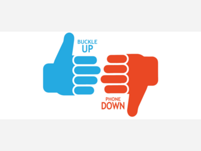 Buckle Up Phone Down Day Is Today (Wednesday October 29)