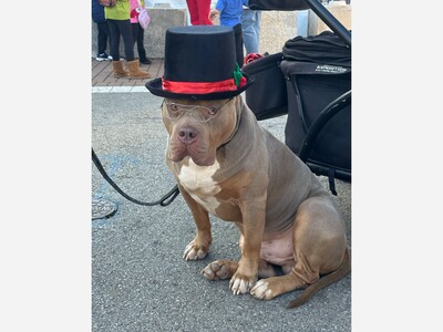 Holiday Festivals Are Just Beginning