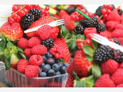 Immune-Boosting Foods for a Healthy Holiday Season