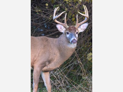 Ohio Hunters Check 23,149 Deer on Opening Day of Gun Season