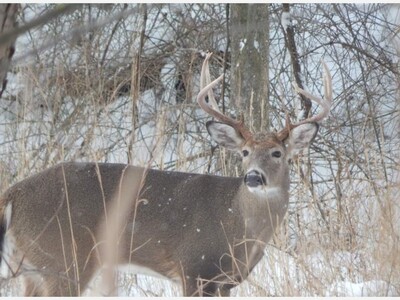 Ohio’s 2025 Weeklong Deer Gun Hunting Season Results