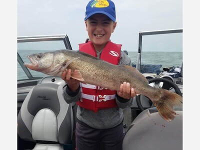 Lake Erie Walleye, Yellow Perch 2025 Hatch Results