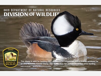 Ohio Wetlands Habitat Stamp Competition