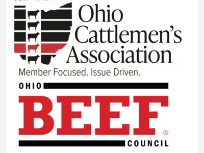Warren County's ﻿﻿Caraline Holden Places At (OBYC) Beef Cuts Identification Contest 