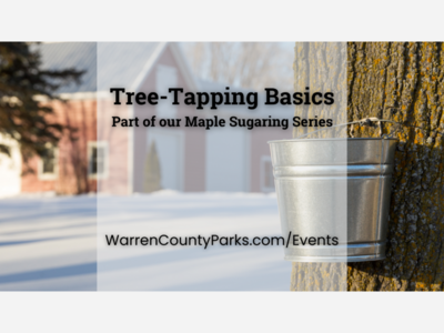 Tree Tapping Basics at Kingswood Park