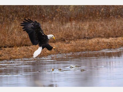 Support Ohio’s Wildlife, State Nature Preserves, and Scenic Rivers with Tax Donations