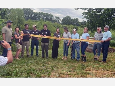 Working Together To Grow The Bee Population