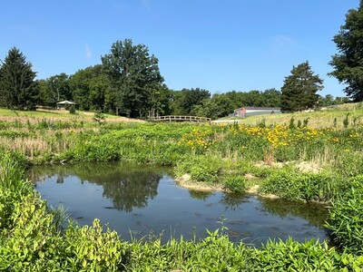 Ribbon Cutting for Headwaters Restoration at Landen-Deerfield Park