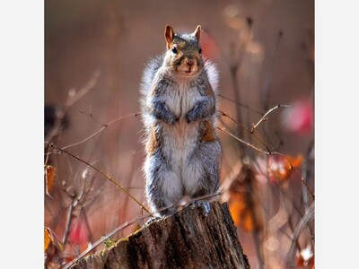 September 1 Marks Beginning of Ohio’s Fall Hunting Seasons