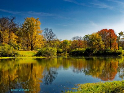 Through Rex's Lens: The Colors of Fall at Pine Hill Lakes Park
