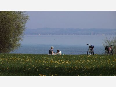 Today is  Eat Outside Day  Celebrate with a picnic