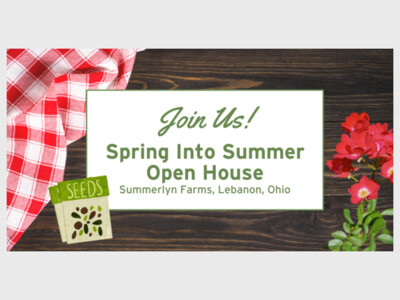 Spring Into Summer Open House Event by Fischer Homes
