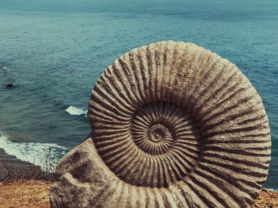 Girl Scouts Adventure Nights