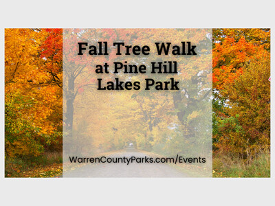 Fall Tree Walk at Pine Hill Lakes Park
