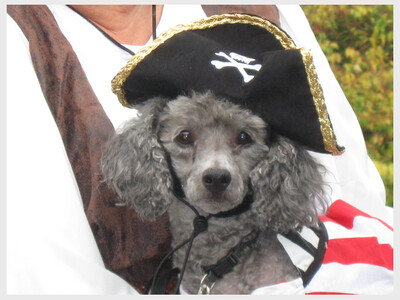 Barktoberfest