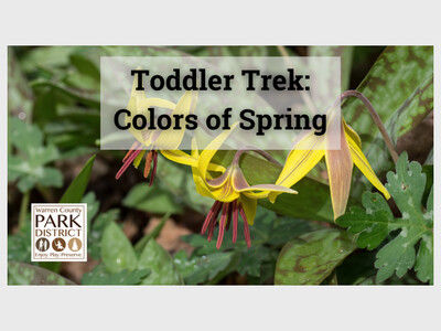 Toddler Trek: Colors of Spring at Armco Park