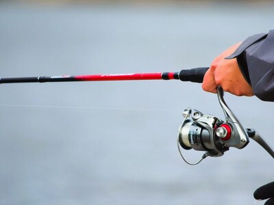 Family Fishing Fun