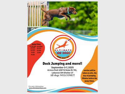 DOG JUMPING AND MORE
