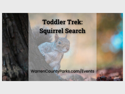 Toddler Trek: Squirrel Search at Landen-Deerfield Park