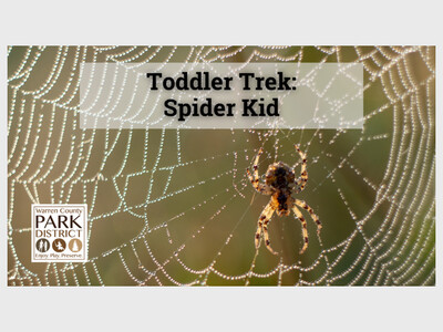 Toddler Trek: Spider Kid at Landen-Deerfield Park