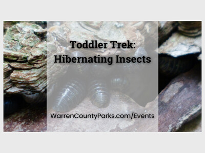 Toddler Trek: Hibernating Insects at Armco Park