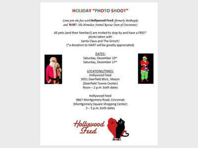 HOLIDAY  PHOTO SHOOT 