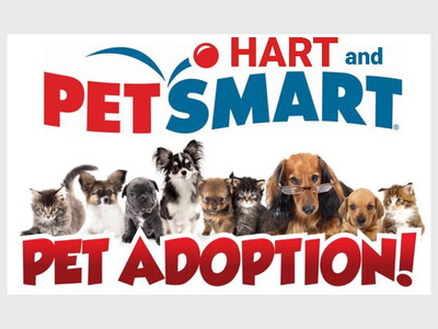 Adoption event PetSmart, West Chester